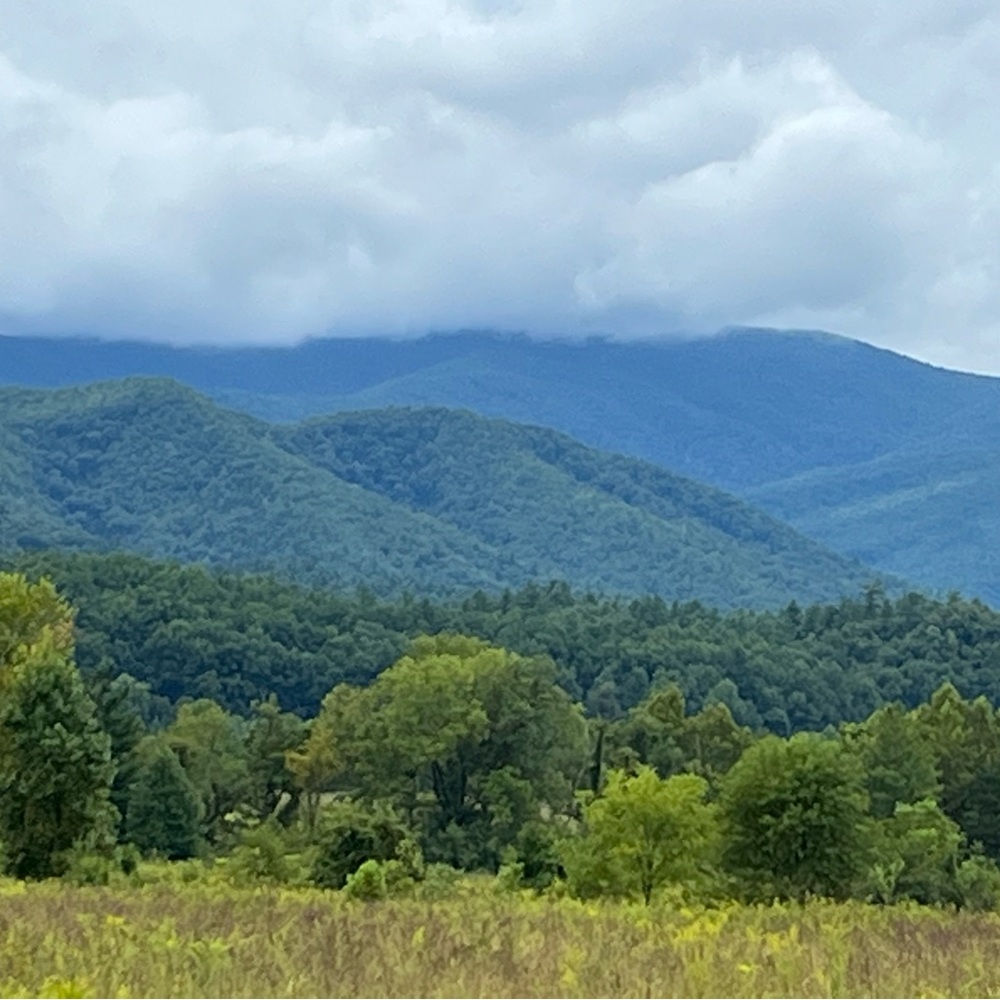 Meet your Posher, Belinda